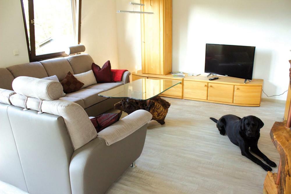 Wolfs Ferienhaus - Natuerlich Eifel Blankenheim  Ngoại thất bức ảnh