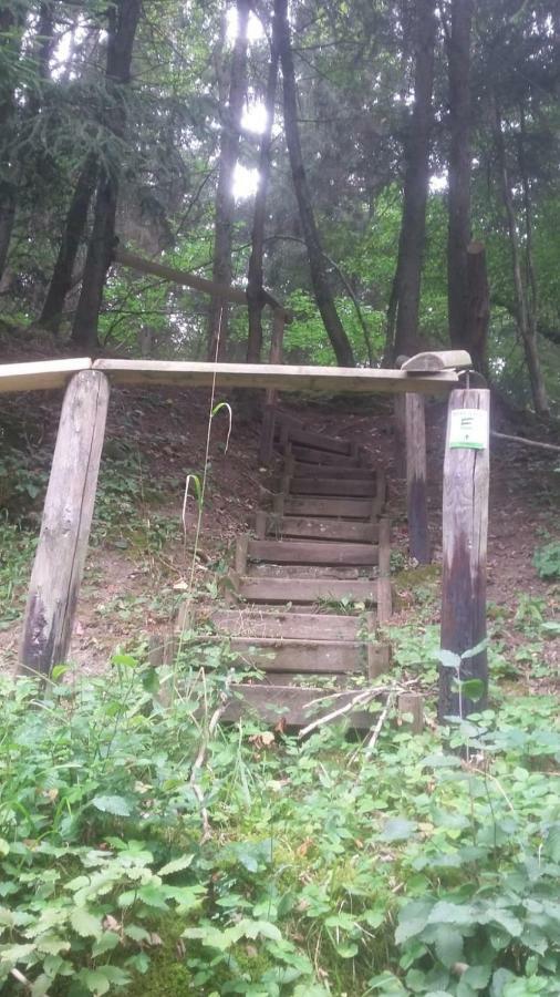 Wolfs Ferienhaus - Natuerlich Eifel Blankenheim  Ngoại thất bức ảnh