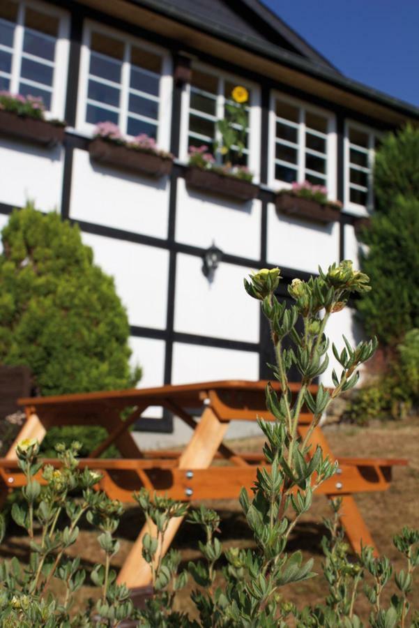 Wolfs Ferienhaus - Natuerlich Eifel Blankenheim  Ngoại thất bức ảnh