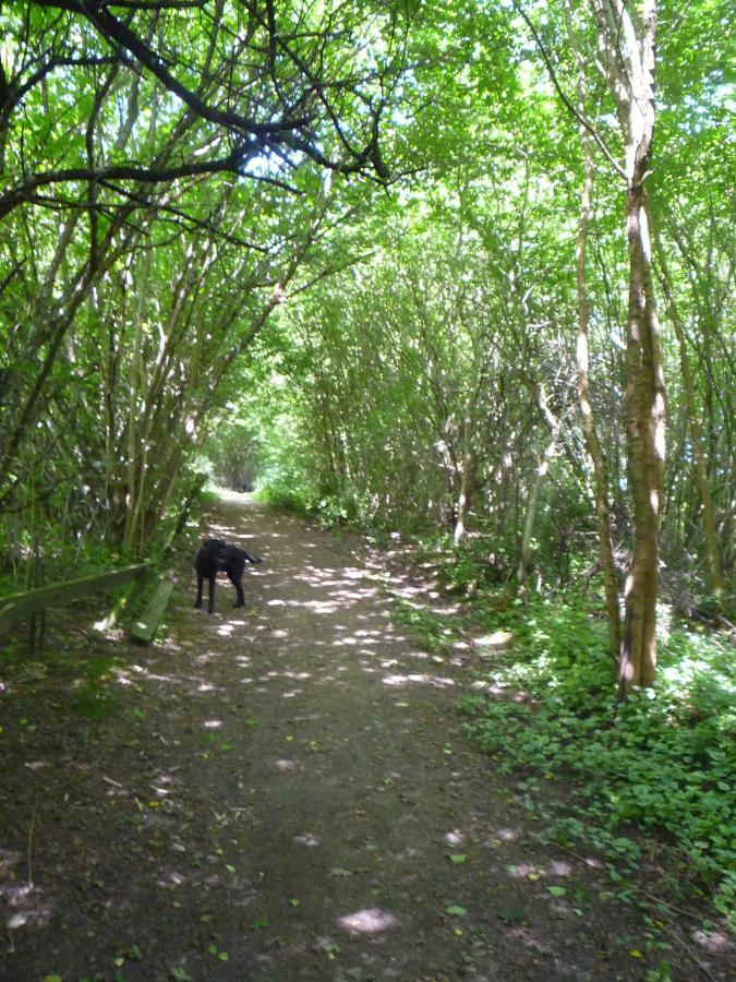Wolfs Ferienhaus - Natuerlich Eifel Blankenheim  Ngoại thất bức ảnh